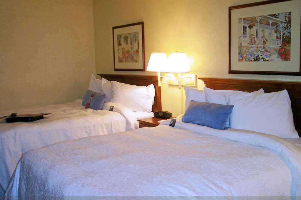 Hampton Inn Salem East - Electric Road Room photo